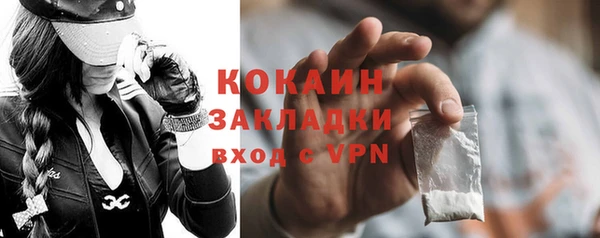 шишки Волосово