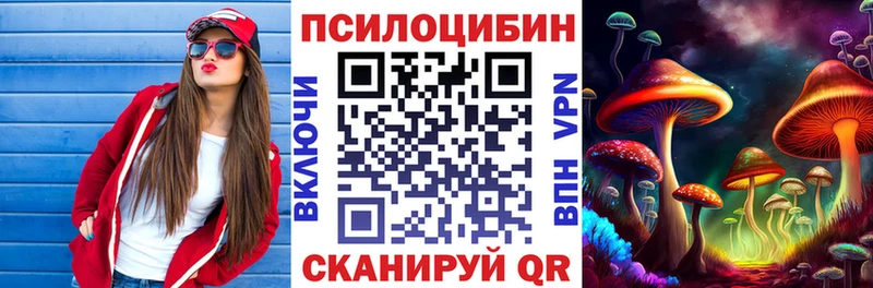Псилоцибиновые грибы мицелий  Купить где  Северобайкальск 